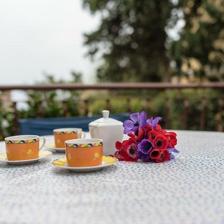 Apartment Urban Garden Rijeka Dış mekan fotoğraf