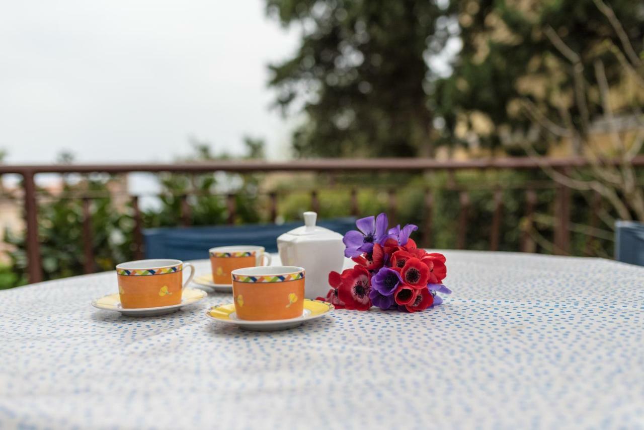 Apartment Urban Garden Rijeka Dış mekan fotoğraf